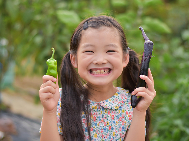 食育